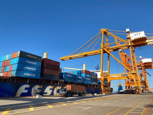 高水平開放助推溫州高質(zhì)量發(fā)展 集裝箱見證外貿(mào)繁榮